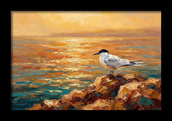 Mediterranean Tern At Sunset
