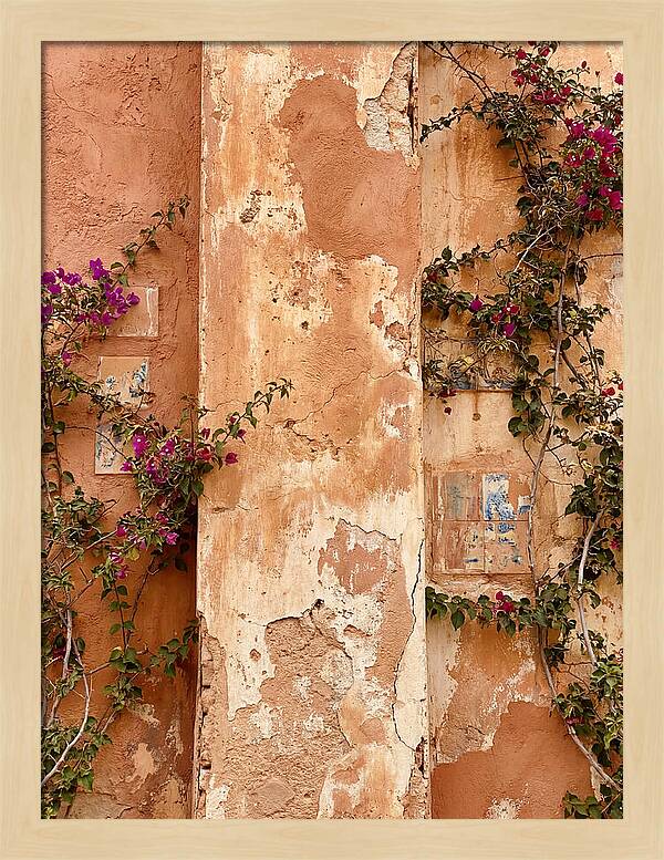 Mediterranean Wall With Bougainvillea