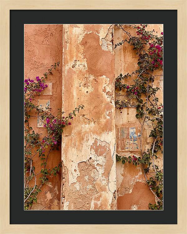 Mediterranean Wall With Bougainvillea