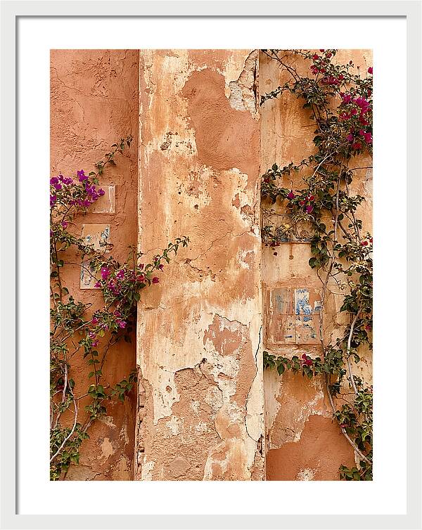 Mediterranean Wall With Bougainvillea