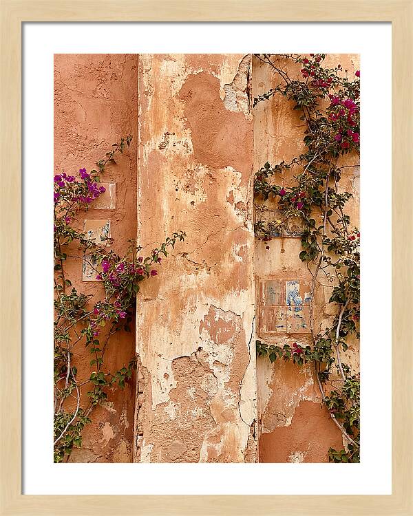 Mediterranean Wall With Bougainvillea