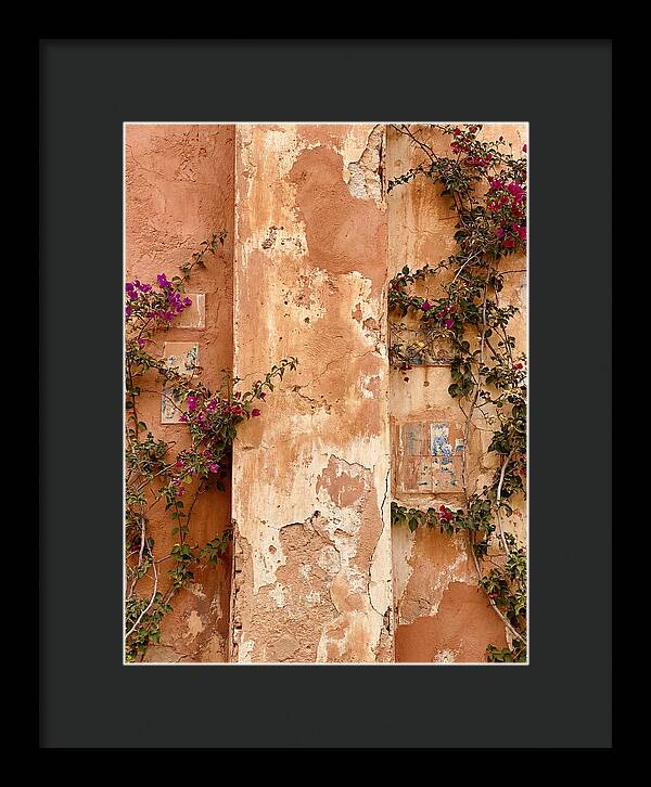 Mediterranean Wall With Bougainvillea