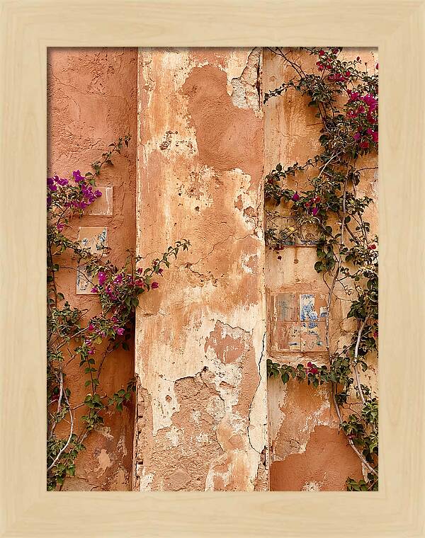 Mediterranean Wall With Bougainvillea