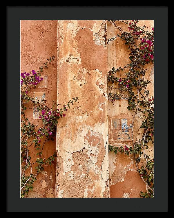 Mediterranean Wall With Bougainvillea