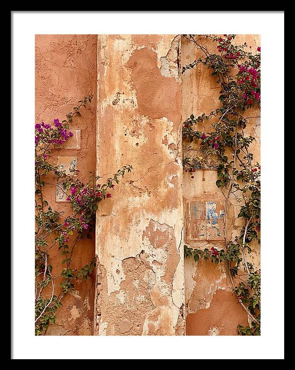 Mediterranean Wall With Bougainvillea