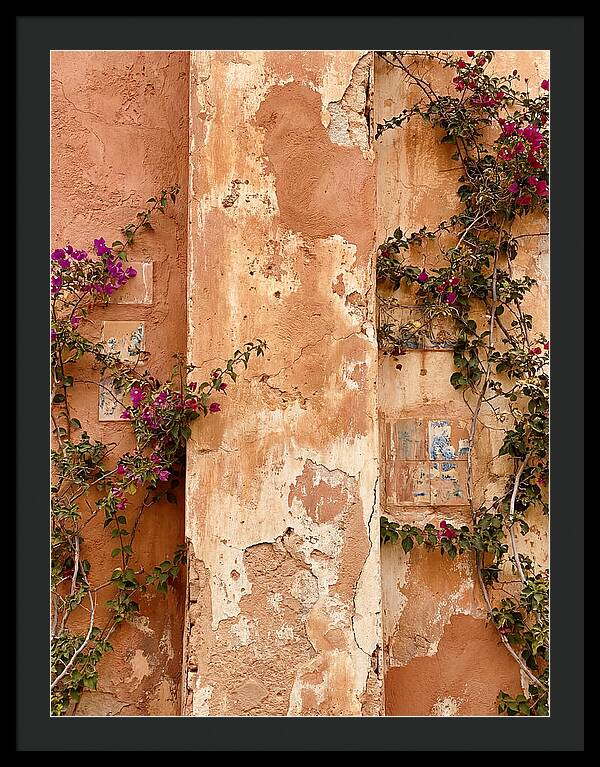 Mediterranean Wall With Bougainvillea