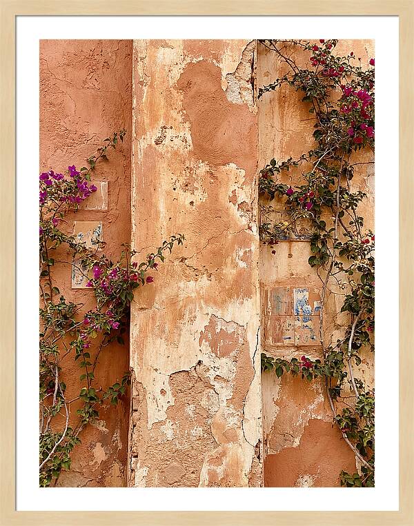 Mediterranean Wall With Bougainvillea