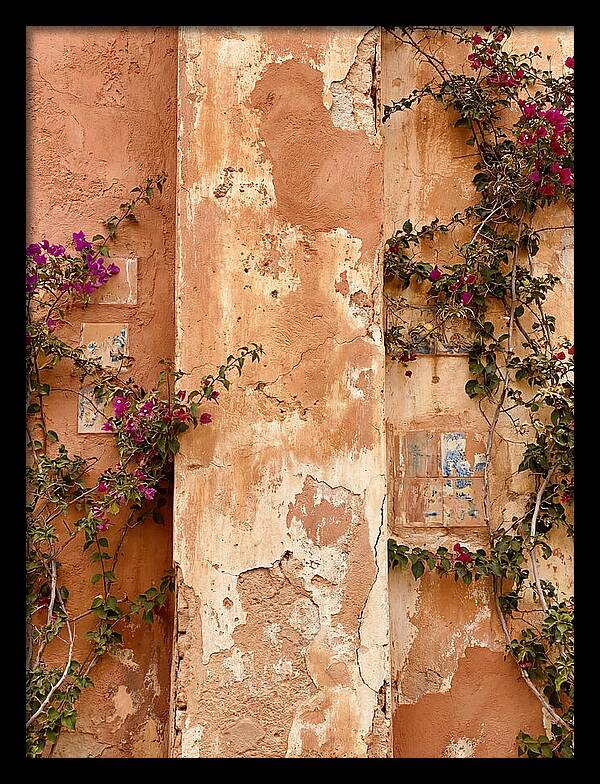Mediterranean Wall With Bougainvillea
