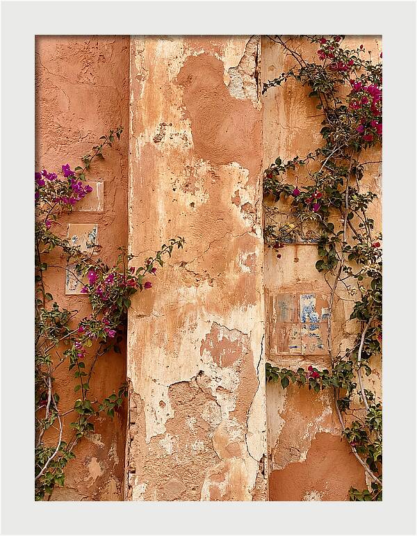 Mediterranean Wall With Bougainvillea