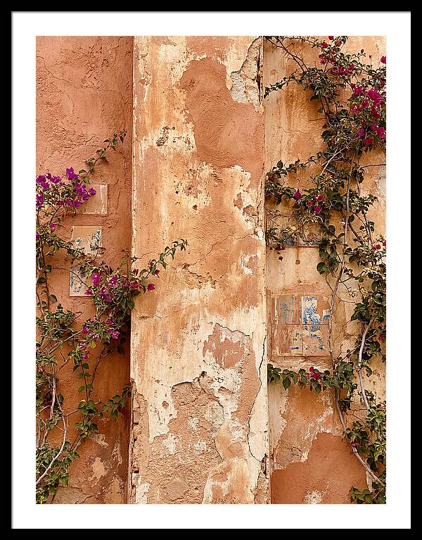 Mediterranean Wall With Bougainvillea