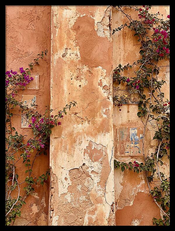 Mediterranean Wall With Bougainvillea
