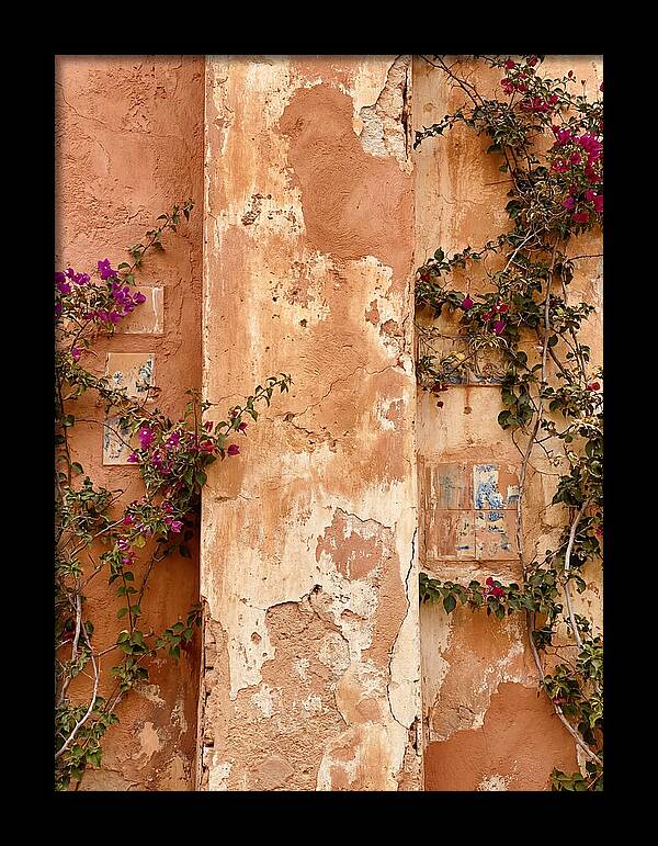 Mediterranean Wall With Bougainvillea