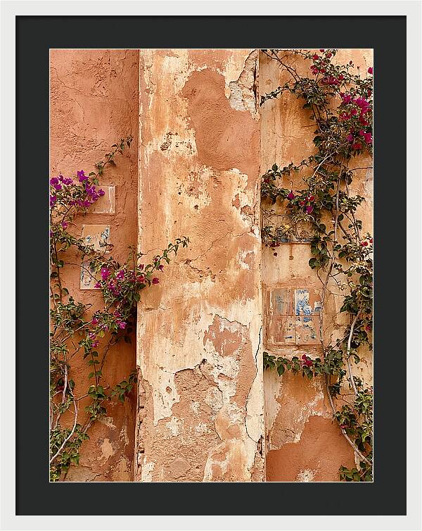 Mediterranean Wall With Bougainvillea
