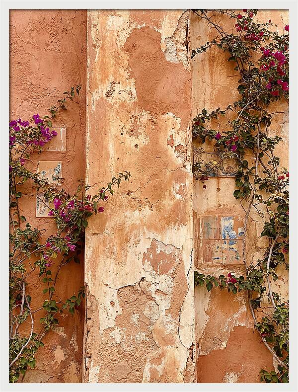 Mediterranean Wall With Bougainvillea