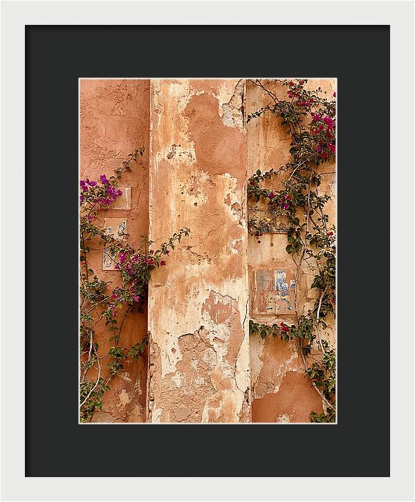 Mediterranean Wall With Bougainvillea
