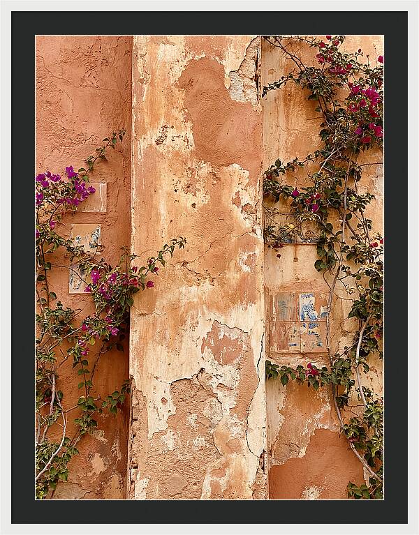 Mediterranean Wall With Bougainvillea