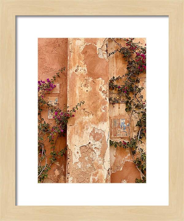 Mediterranean Wall With Bougainvillea