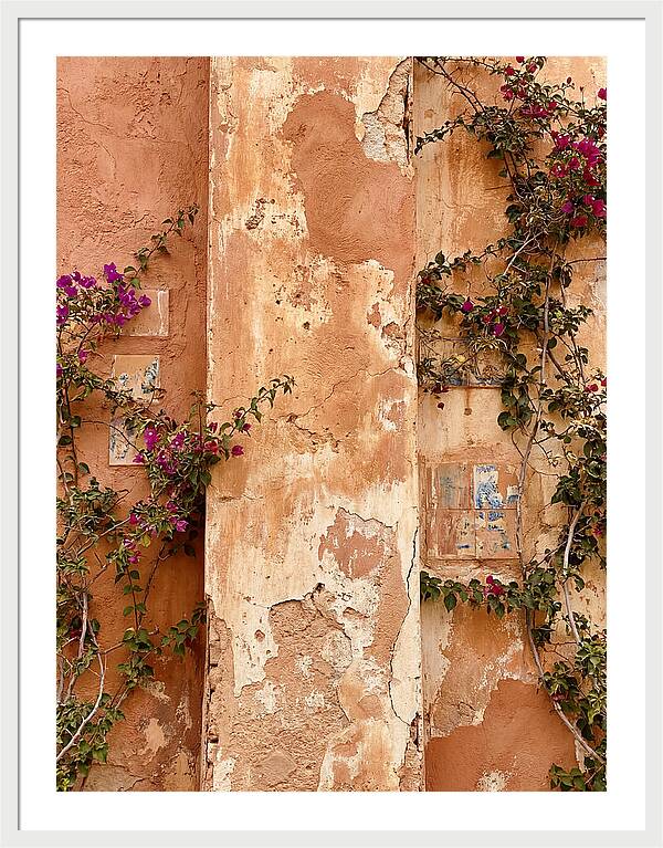 Mediterranean Wall With Bougainvillea