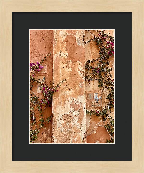 Mediterranean Wall With Bougainvillea