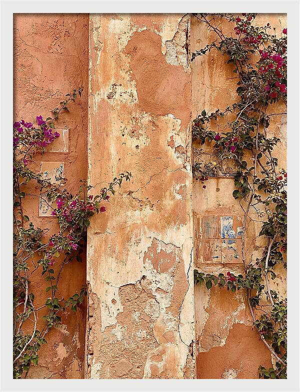 Mediterranean Wall With Bougainvillea