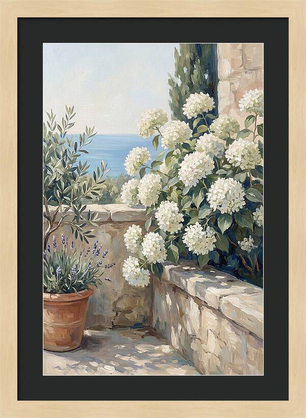 Mediterranean White Hydrangeas