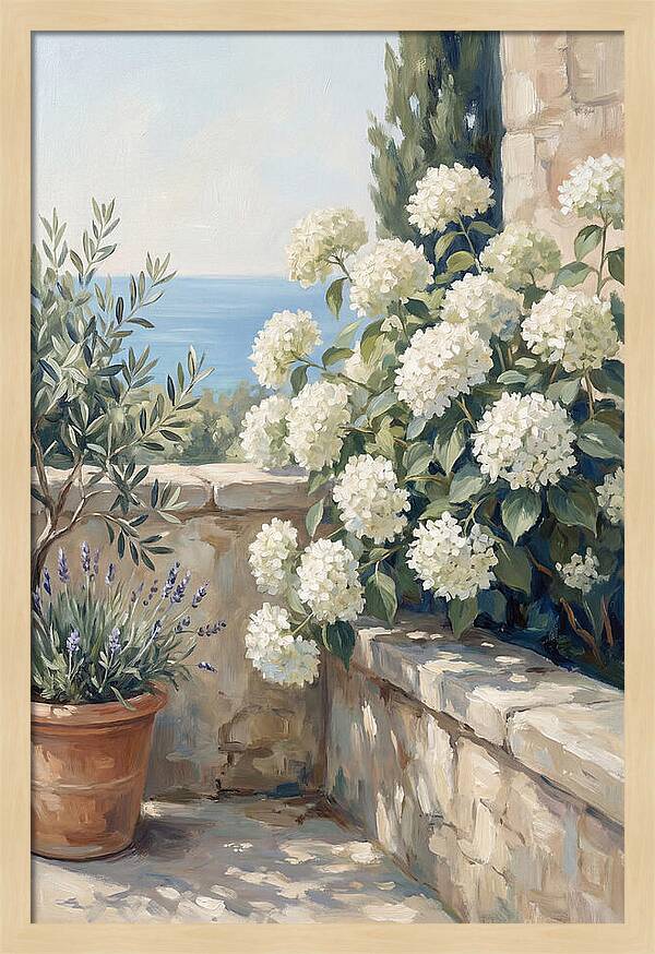 Mediterranean White Hydrangeas