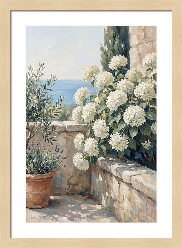 Mediterranean White Hydrangeas