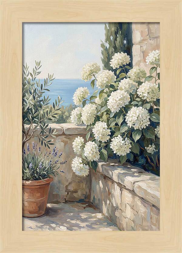 Mediterranean White Hydrangeas