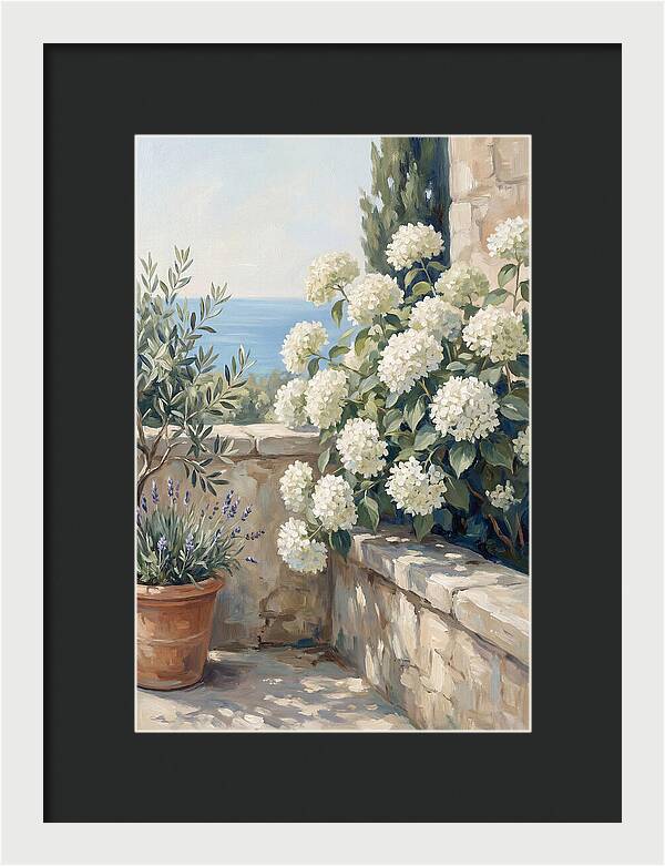 Mediterranean White Hydrangeas