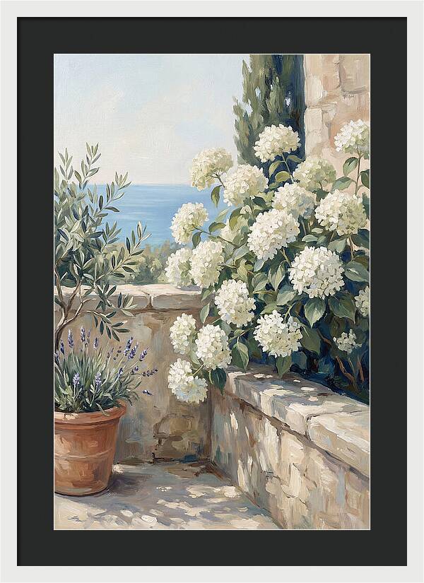 Mediterranean White Hydrangeas