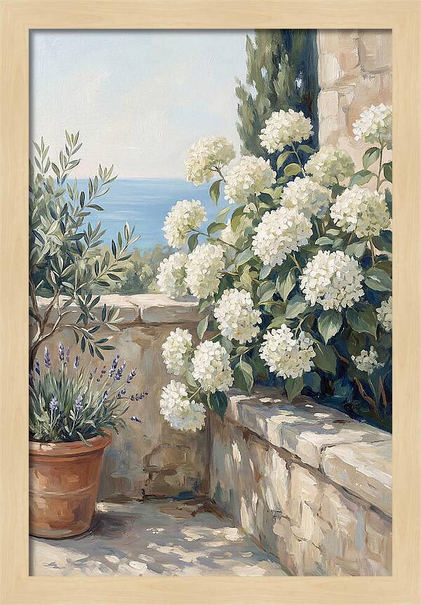 Mediterranean White Hydrangeas
