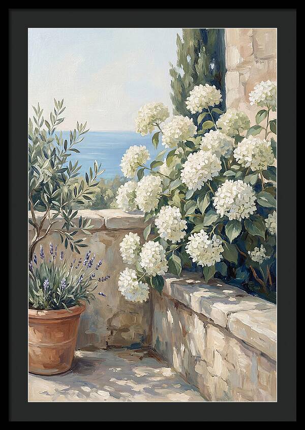 Mediterranean White Hydrangeas