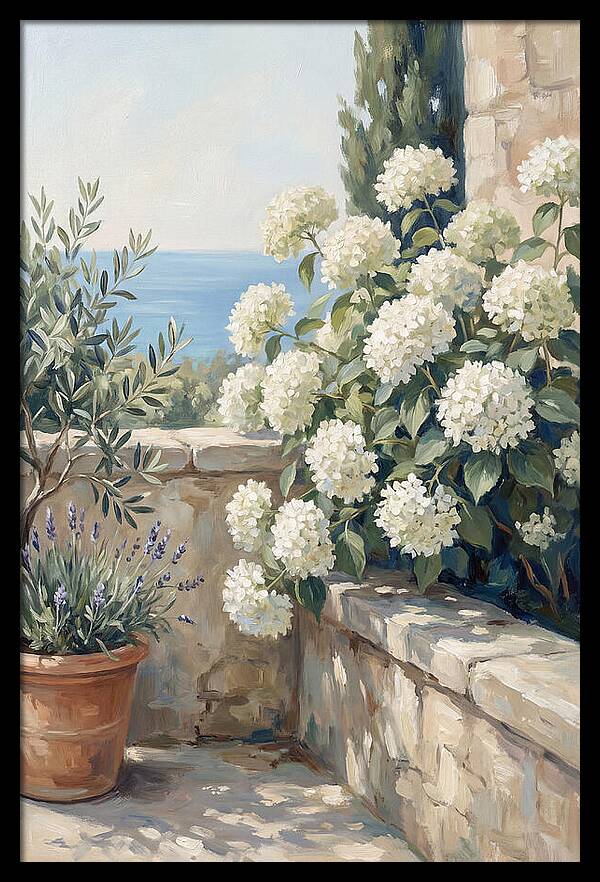 Mediterranean White Hydrangeas