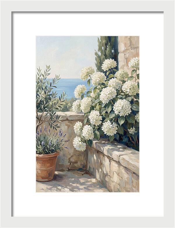 Mediterranean White Hydrangeas