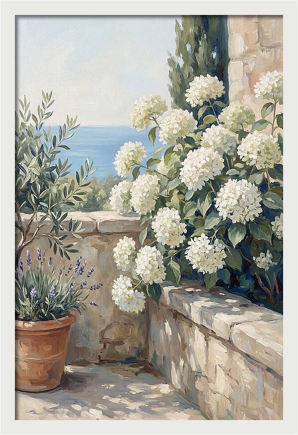 Mediterranean White Hydrangeas