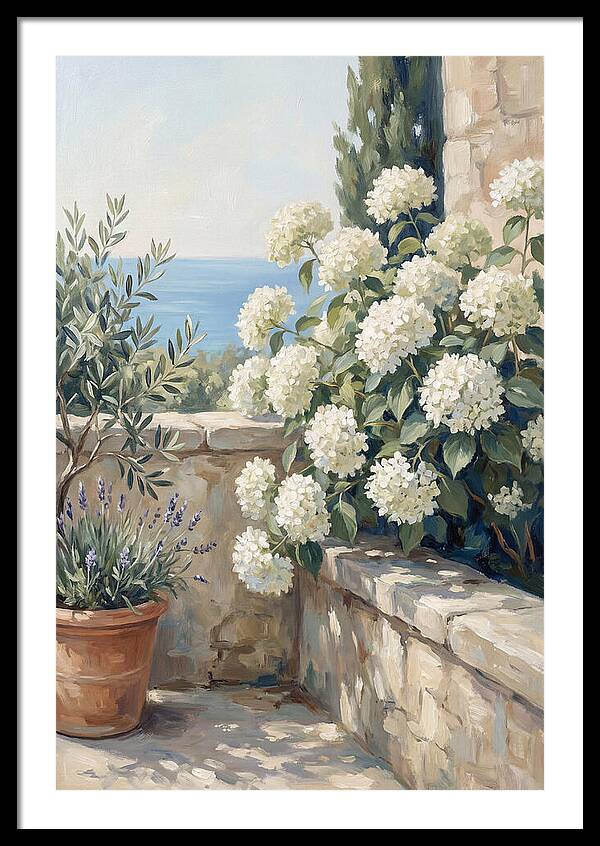 Mediterranean White Hydrangeas