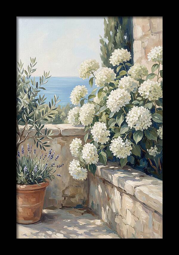 Mediterranean White Hydrangeas
