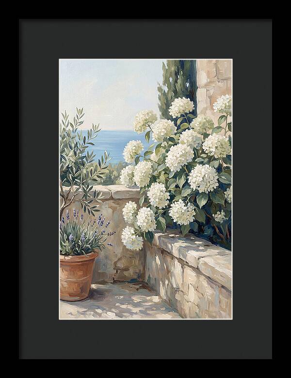 Mediterranean White Hydrangeas