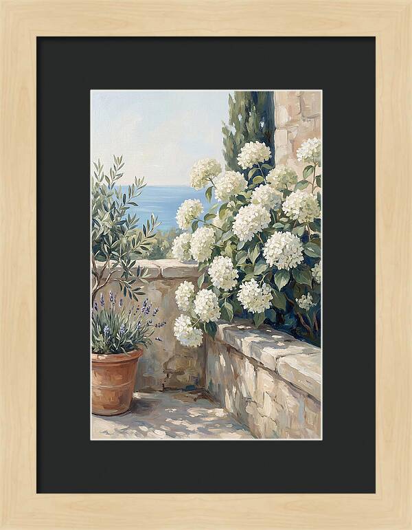 Mediterranean White Hydrangeas