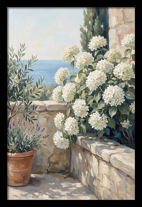 Mediterranean White Hydrangeas