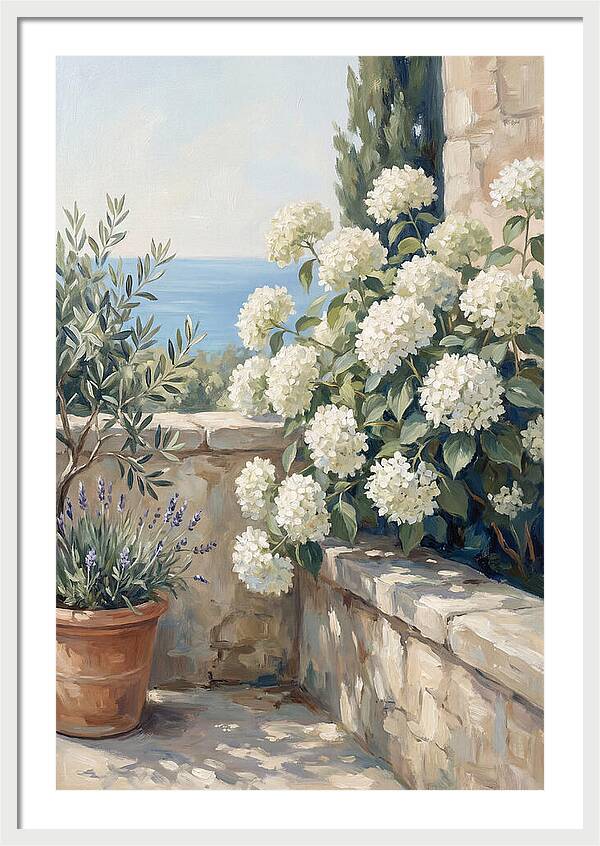 Mediterranean White Hydrangeas