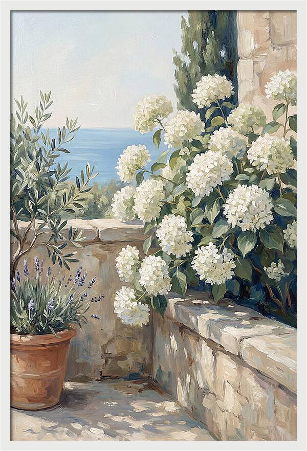 Mediterranean White Hydrangeas