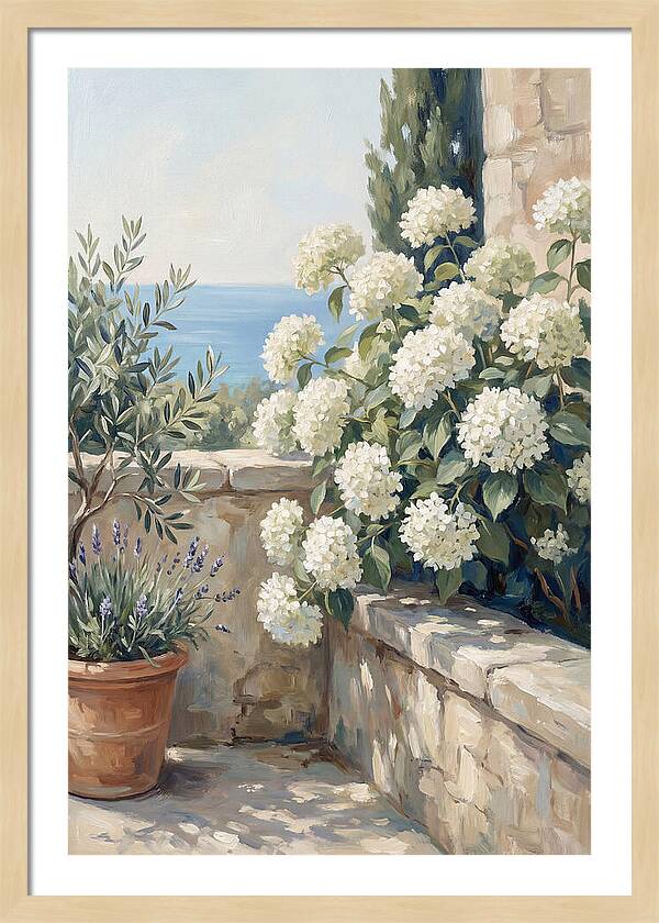 Mediterranean White Hydrangeas