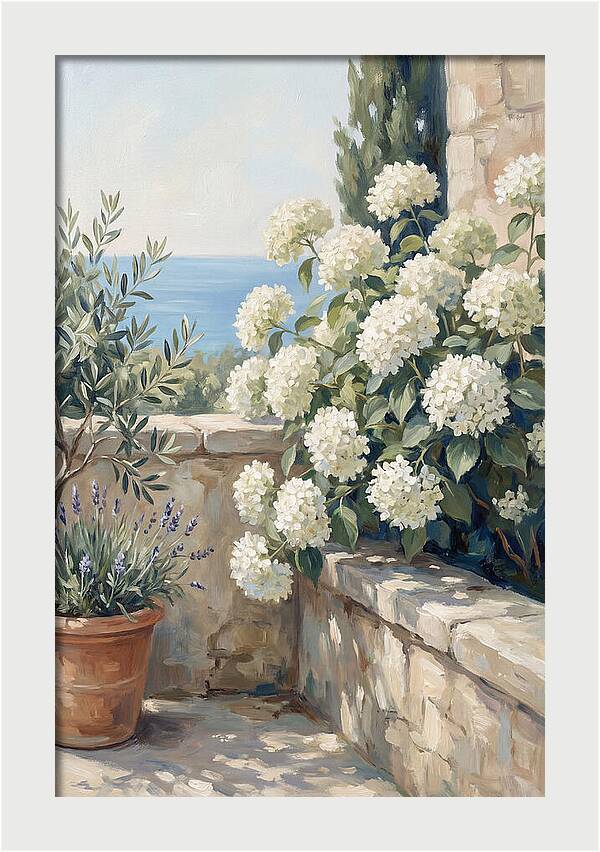 Mediterranean White Hydrangeas