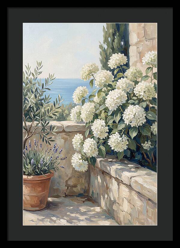 Mediterranean White Hydrangeas