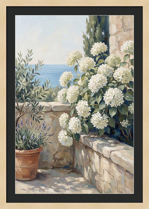 Mediterranean White Hydrangeas