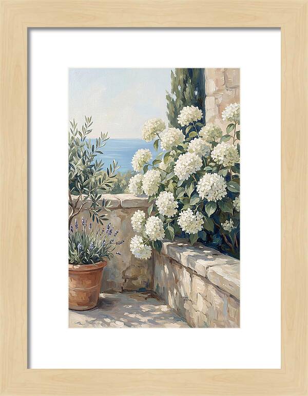 Mediterranean White Hydrangeas