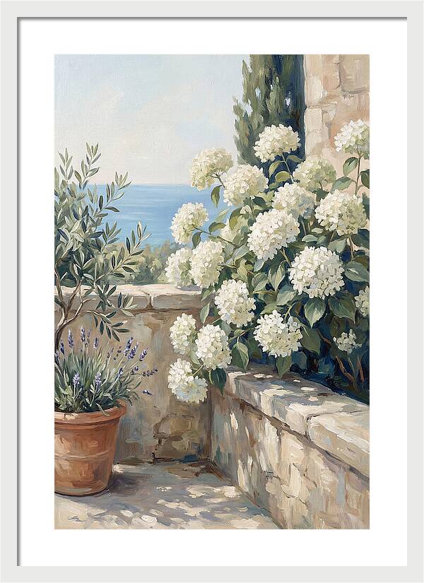 Mediterranean White Hydrangeas