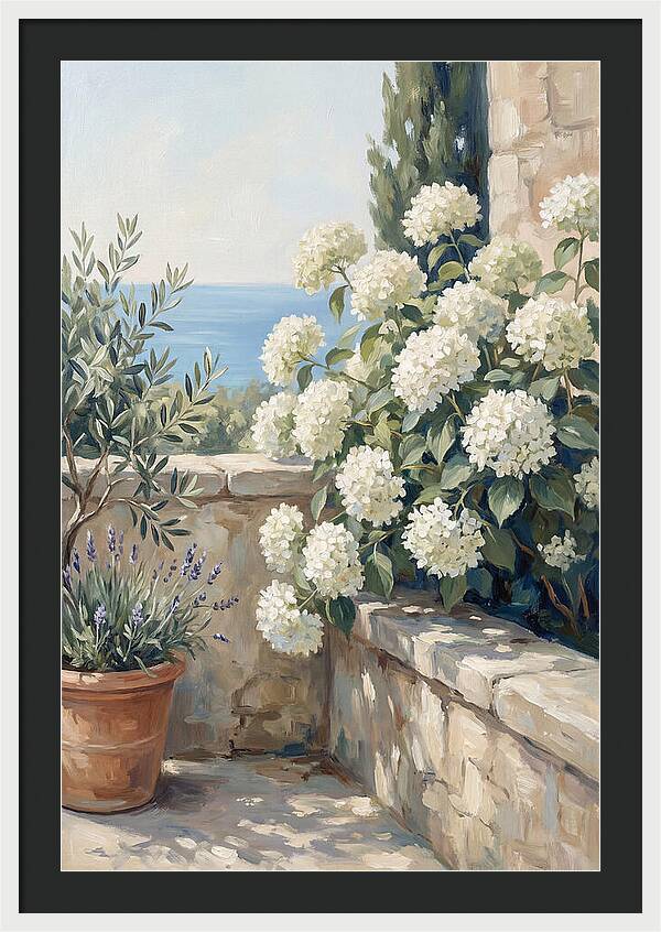 Mediterranean White Hydrangeas