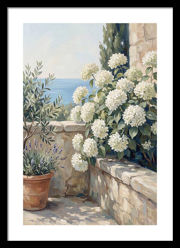 Mediterranean White Hydrangeas